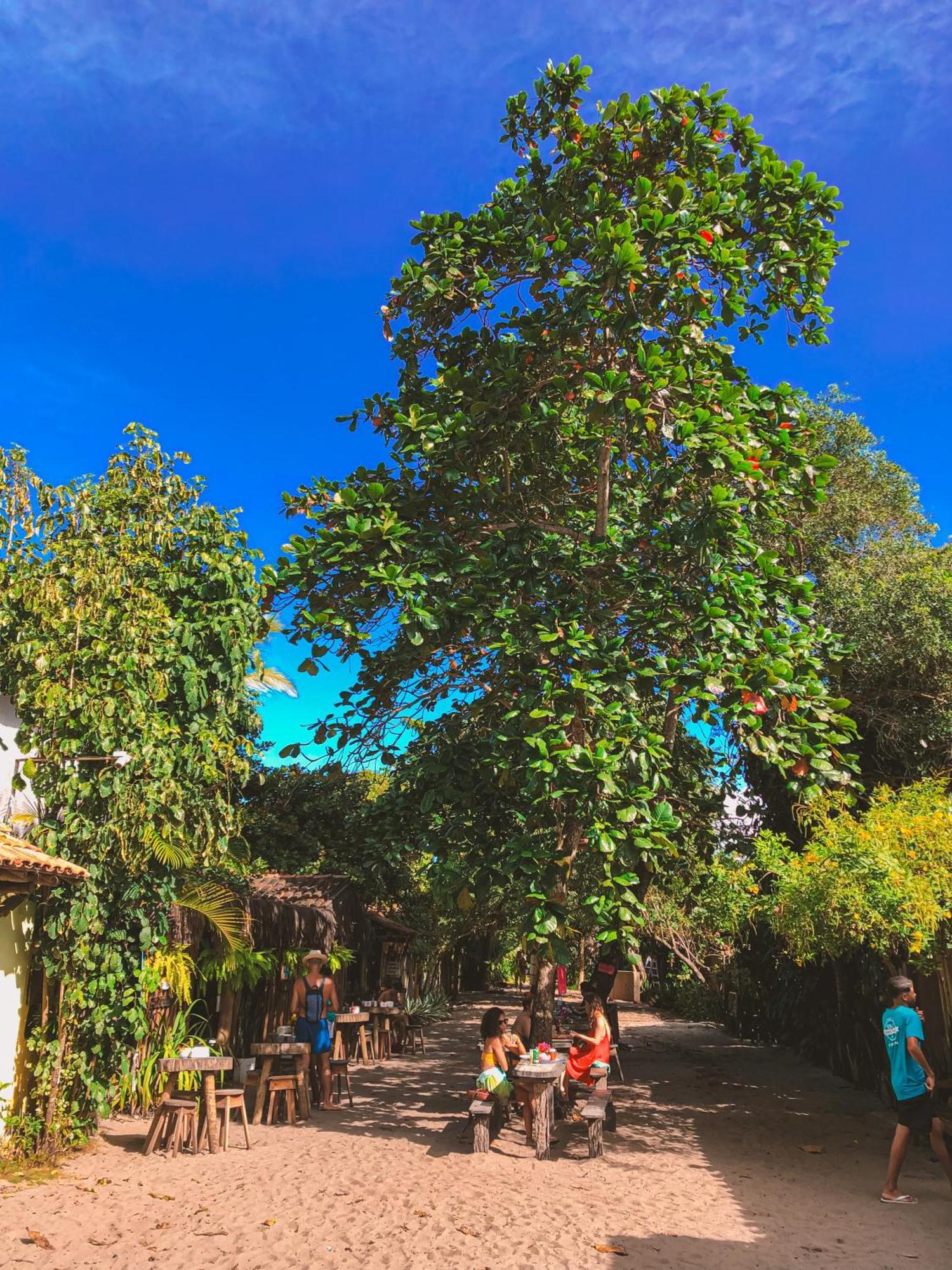 Pousada Villa Esperanca - Xando - Caraiva Ba المظهر الخارجي الصورة